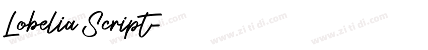 Lobelia Script字体转换 Lobelia Script字体转换